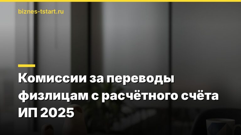Комиссии за переводы физлицам с расчётного счёта ИП 2025