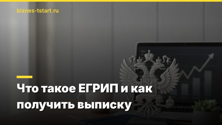 Что такое ЕГРИП и как получить выписку