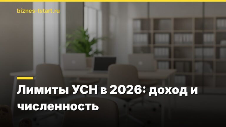 Лимиты УСН в 2026: доход и численность