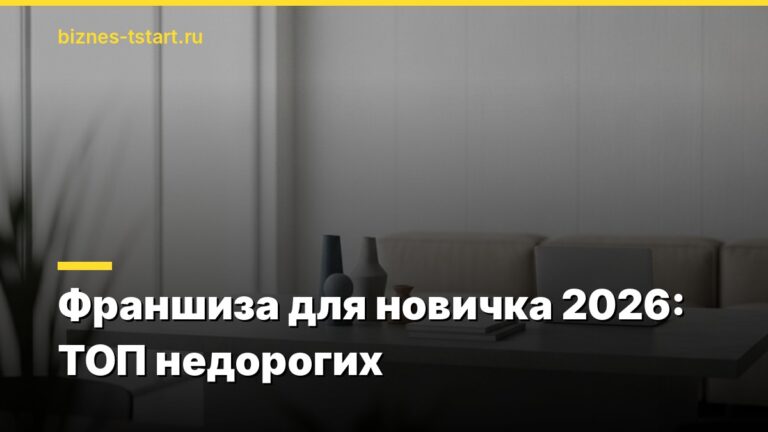 Франшиза для новичка 2026: ТОП недорогих